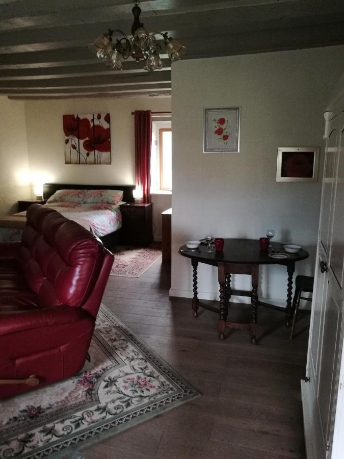 Bed and Breakfast Chez Pastuso Brigueil-le-Chantre Экстерьер фото